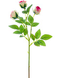 Fuchsia Pink