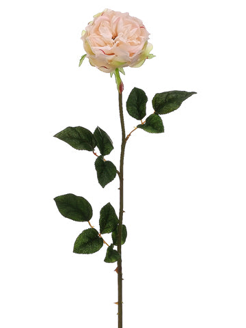 30" English Rose Spray  Soft Peach (pack of 12)