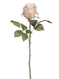 Linen