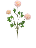 Pink Soft