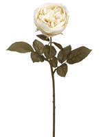 Eggshell