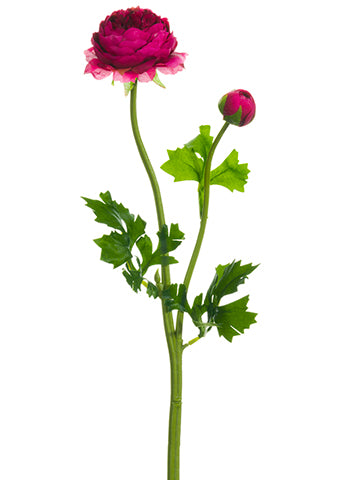 Boyserberry