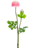 Pink Cream