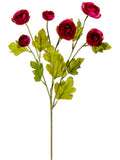 Rubrum