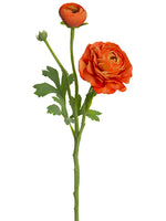 Two Tone Orange