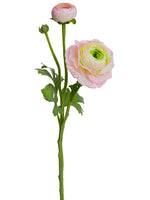 Pink Green