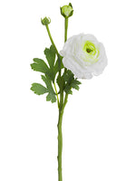 White Green