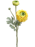 Yellow Green