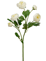 20" Ranunculus Spray  White (pack of 12)