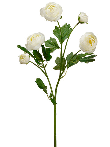20" Ranunculus Spray  White (pack of 12)