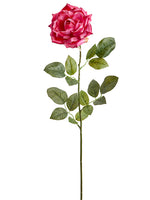 Beauty Pink