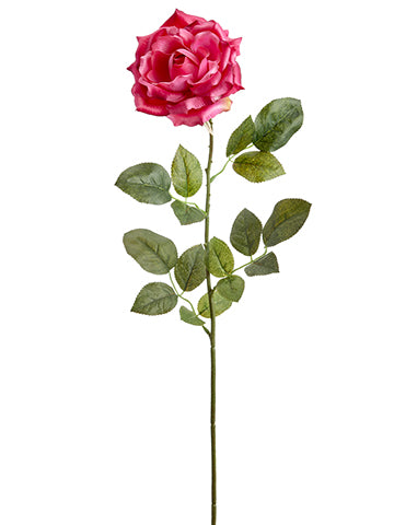 Beauty Pink