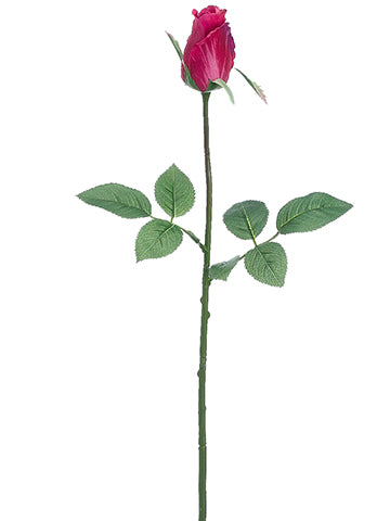 Boyserberry