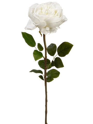 26" English Rose Spray  White (pack of 12)