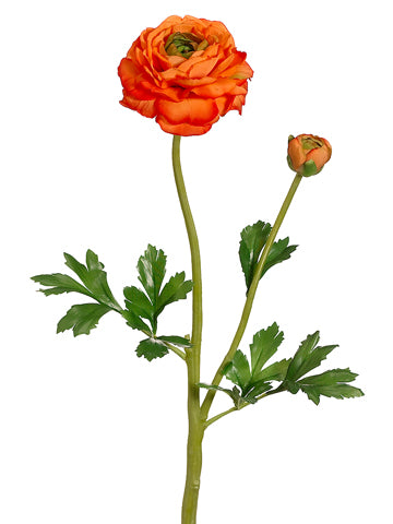 20" Ranunculus Spray with Bud & Water-Resistant Stem Orange (pack of 12)