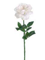 White Cream