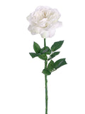 White Cream
