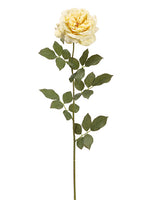 Soft Yellow