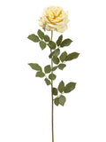 Soft Yellow