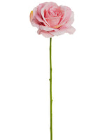 Cerise Pink