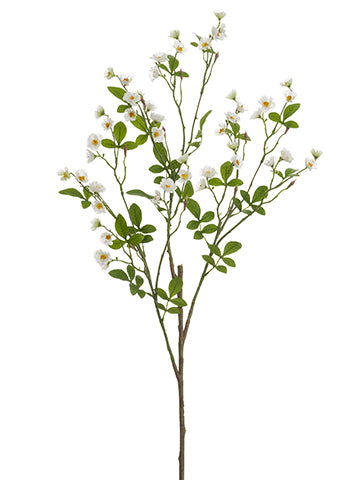 44" Wild Rose Spray  Cream (pack of 6)