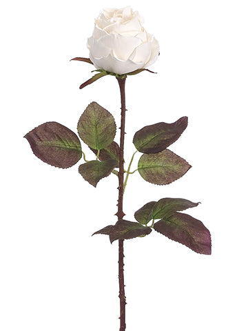 20" Rose Spray  Vanilla (pack of 12)
