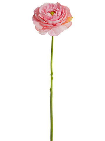 Cerise Pink