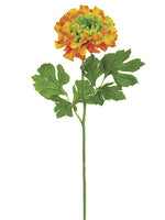 Orange Green