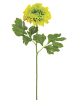 Yellow Green