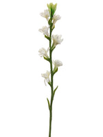 33" Tuberose Spray  Cream (pack of 12)