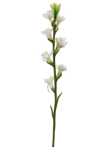 33" Tuberose Spray  Cream (pack of 12)
