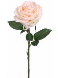 Pastel Apricot