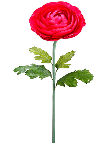 50" Giant Ranunculus Spray  Fuchsia (pack of 6)
