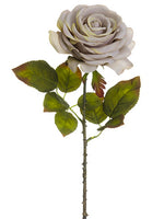 Antique Beige