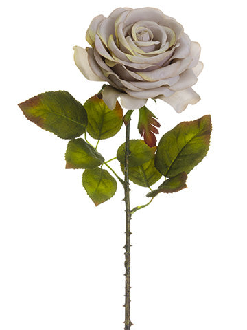 Antique Beige