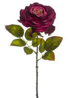 Antique Burgundy