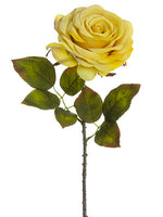 Antique Yellow