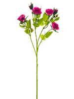 26" Rose Spray  Boyseneberry (pack of 24)