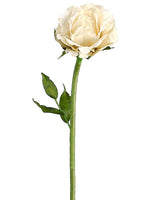 25.5" Open Rose Spray  Vanilla (pack of 12)