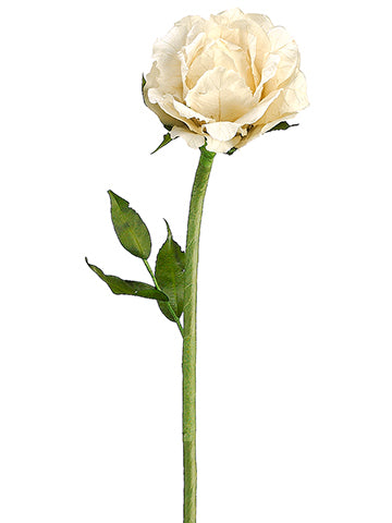 25.5" Open Rose Spray  Vanilla (pack of 12)