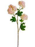 Pink Cream