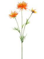 Orange Flame