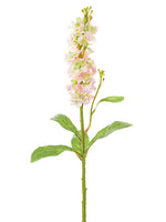 Pink Green