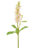 Pink Green