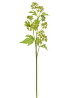 Yellow Green