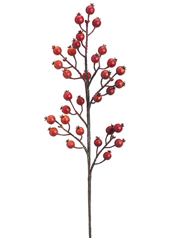 32" Rose Hip Spray  Orange (pack of 12)