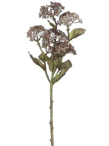 20" Sedum Spray  Brown (pack of 12)