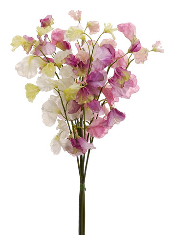 20" Sweet Pea Bundle x6  Lavender Pink (pack of 12)