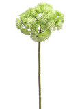 Cream Green