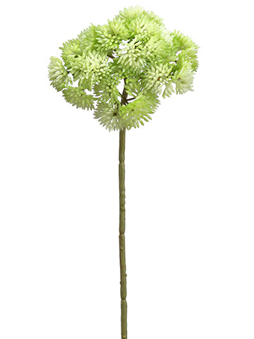 Cream Green
